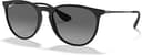 Ray-Ban Erika Sunglasses