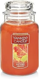 Autumn Leaves & Pumpkin Candle